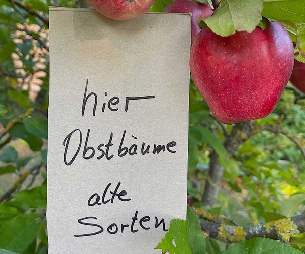 Obstgarten