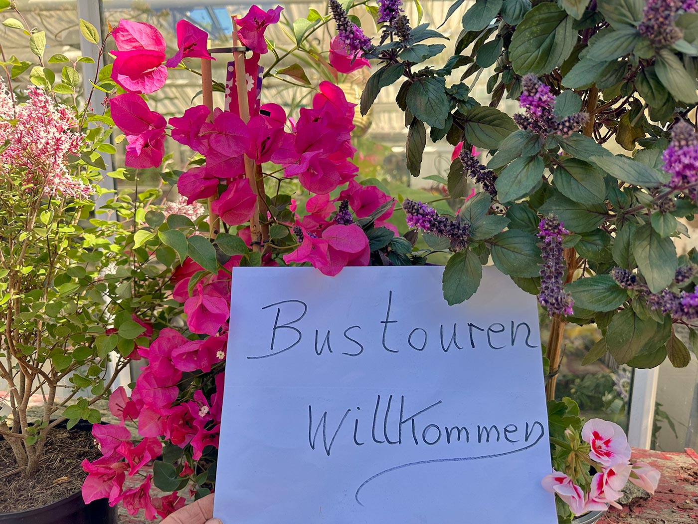 Bustouren willkommen ! Bustouren willkommen !